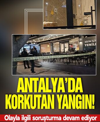 Antalya’da ormanlık alanda yangın