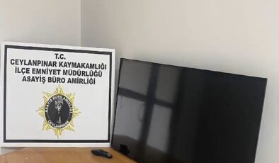 Ceylanpınar’da akıllara zarar hırsızlık vakası!