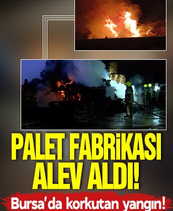 Palet fabrikası alev aldı! Bursa’da korkutan yangın