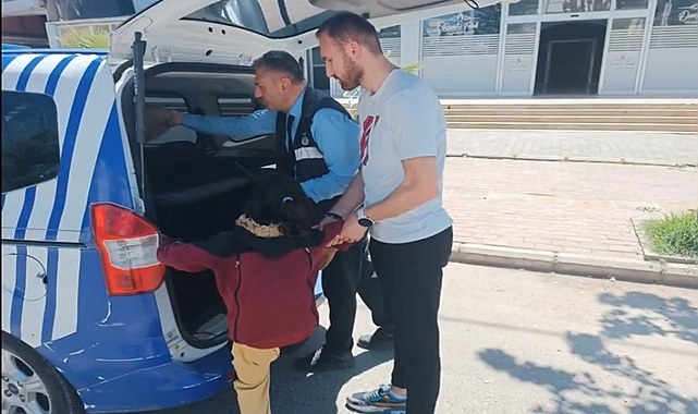 Şanlıurfa’da dilencilik yapan çocuklar denetime takıldı