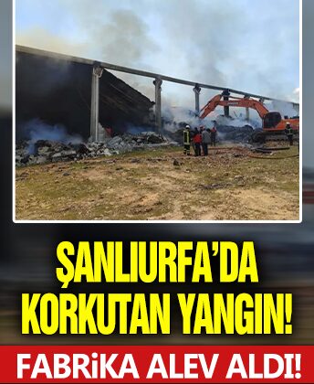Şanlıurfa’da korkutan yangın! Fabrika alev aldı