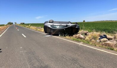 Şanlıurfa Siverek’te trafik kazası: 4 yaralı