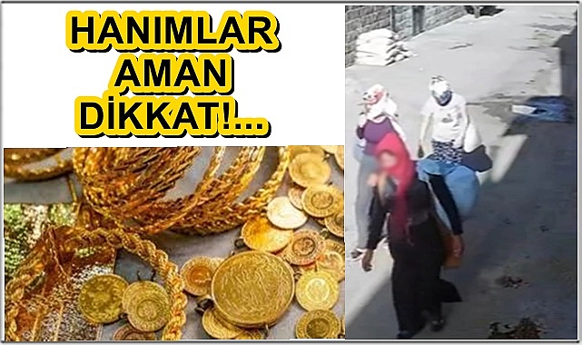 Siverek’te akıllara durgunluk veren hırsızlık olayı!